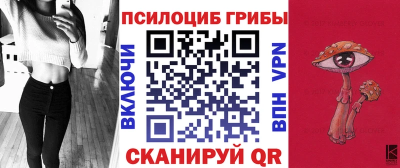 Псилоцибиновые грибы Psilocybe  Нефтегорск 